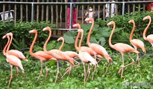 南山十大景点排行榜前十名(南山区十大必去景点)