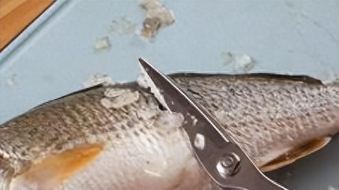 厨房剪刀十大排行榜(厨房剪刀第一名)插图2 厨房剪刀十大排行榜(厨房剪刀第一名)插图2