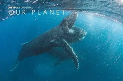 世界十大神剧经典排行榜(全球十大新剧排行榜)插图17 世界十大神剧经典排行榜(全球十大新剧排行榜)插图17