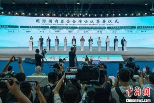 十大茶叶进口国家排行榜(世界茶叶进口国家排名)插图1 十大茶叶进口国家排行榜(世界茶叶进口国家排名)插图1