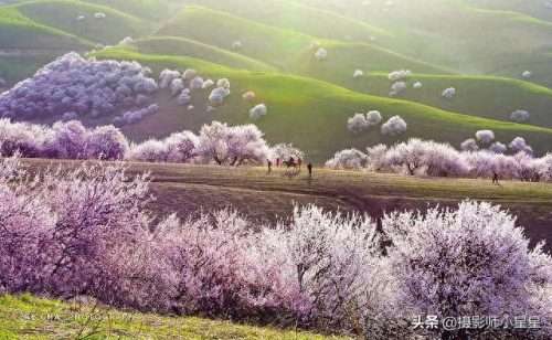 人像摄影十大城市排行榜(全国十大摄影城市)插图65 人像摄影十大城市排行榜(全国十大摄影城市)插图65