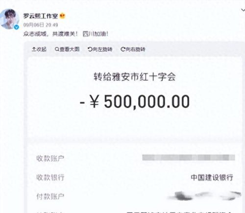 中国歌唱家捐款排名前十(中国女歌唱家一览表)插图6