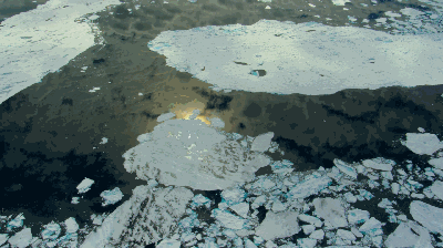 世界十大神剧经典排行榜(全球十大新剧排行榜)插图25 世界十大神剧经典排行榜(全球十大新剧排行榜)插图25
