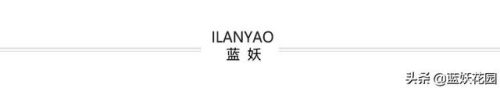 十大香水香味排行榜前十名(香水淡香排行榜前十名)