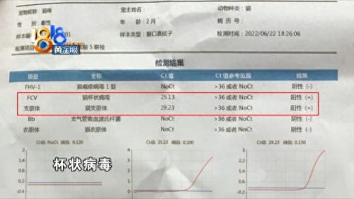 上城区天然猫粮排名前十(布偶猫专用猫粮排名)插图4