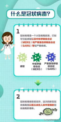呼和浩特小学校服排名前十(呼和浩特五塔寺东街小学校服)插图