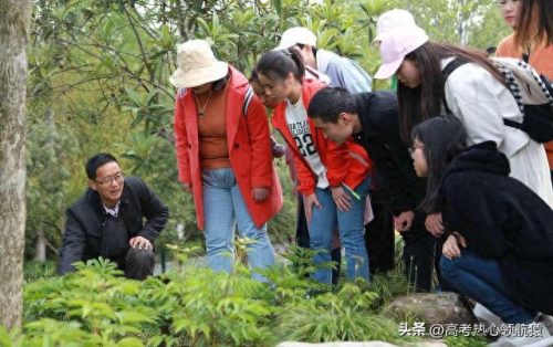 山东农业专业大专排名前十(山东农业类大专排名)插图2 山东农业专业大专排名前十(山东农业类大专排名)插图2