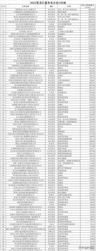 黑龙江分公司排名前十(黑龙江国有大企业排名)插图1