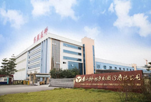 十大名牌煎药机排行榜最新(煎药机品牌排名前十)