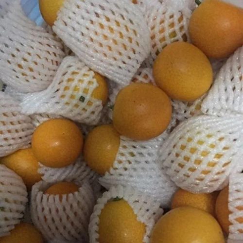 十大品牌水果排行榜前十名(十大补钙水果)插图1