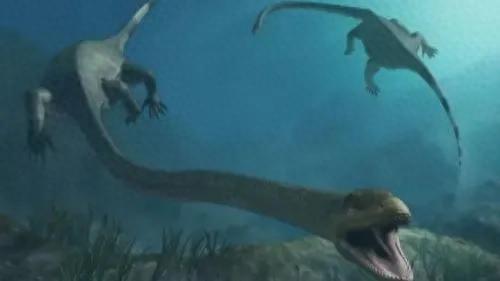 中国十大神秘水怪排行榜(中国水怪十大排名)插图2