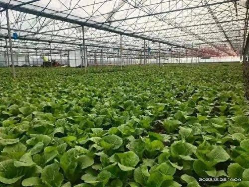 淅川县保姆公司排名前十(保姆公司十大品牌郑州)插图1 淅川县保姆公司排名前十(保姆公司十大品牌郑州)插图1