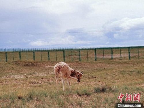世界十大无人区排行榜北京(北京十大室内景点)插图2