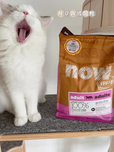 十大最贵猫粮品牌排行榜(十大品牌猫粮排行)插图8