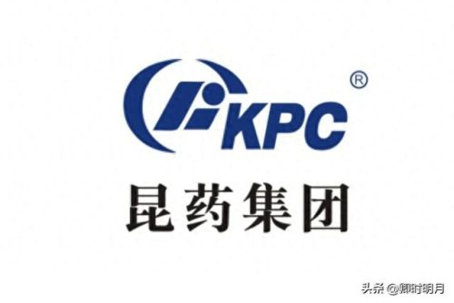 云南省排名前十的私家企业(云南前十公司排名)插图9