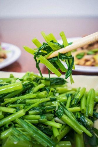 十大不见光蔬菜排行榜图(十大回奶蔬菜排名表)插图4