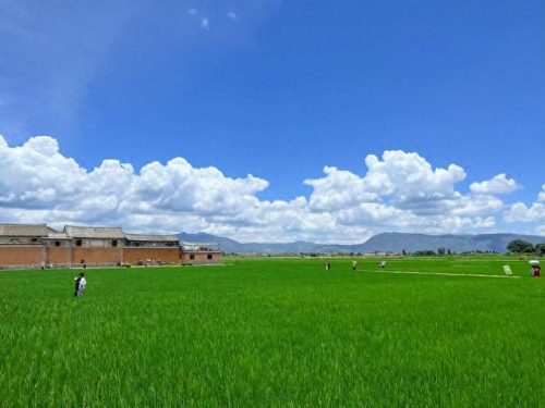 云南文化旅游线路排名前十(云南省文化旅游线路推荐)插图4