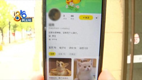 上城区天然猫粮排名前十(布偶猫专用猫粮排名)插图