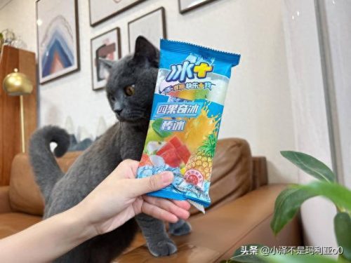 十大高价雪糕排行榜实体店(十大宝藏雪糕盘点)插图20 十大高价雪糕排行榜实体店(十大宝藏雪糕盘点)插图20