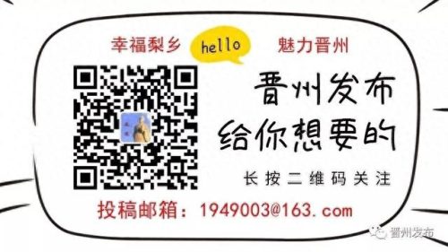 晋州十大网红排行榜在哪(晋州网红名单)