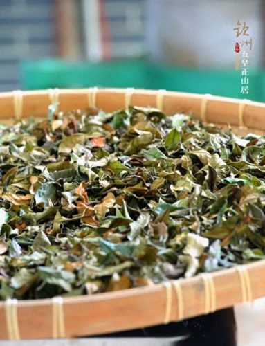 丘山整形医院排名前十(中翰整形美容医院)插图37