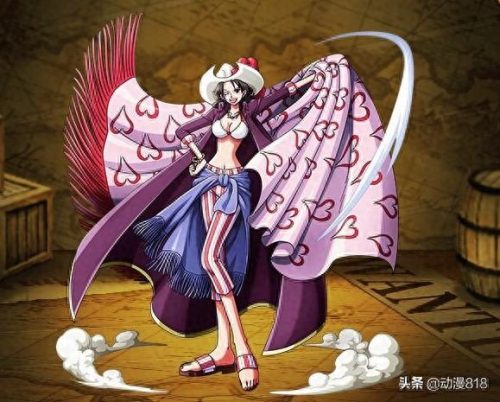 海贼王里的女人排名前十(海贼王最特殊的一个女人)插图8