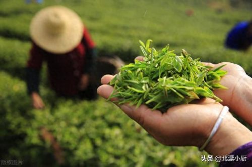 中国传统十大名茶排行榜(庐山市十大名茶)插图5