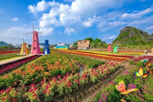 阳春旅游(阳春旅游景点)插图39