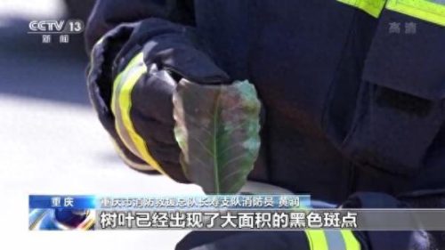 静海门窗十大名牌排行榜(汉沽区十大门窗排名)插图1