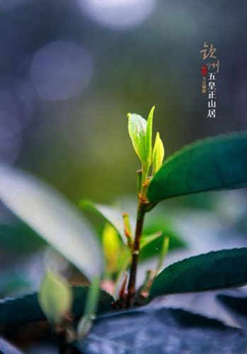丘山整形医院排名前十(中翰整形美容医院)插图16