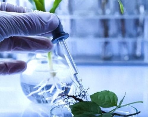 国防冷门专业排名前十(国防情报专业排名)插图5 国防冷门专业排名前十(国防情报专业排名)插图5