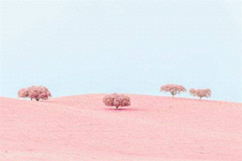 抖音十大翻唱曲目排行榜(小蚊子抖音翻唱)插图6