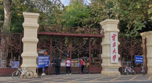 云南省大学资产排名前十(云南省大学资产排名)插图2