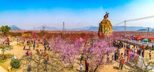 平谷最好玩的景点排名前十(平谷农家乐十大排名)插图6 平谷最好玩的景点排名前十(平谷农家乐十大排名)插图6