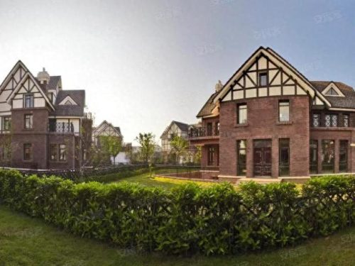 昆山小院绿植销售排名前十(昆山花桥绿植批发排名)插图7 昆山小院绿植销售排名前十(昆山花桥绿植批发排名)插图7