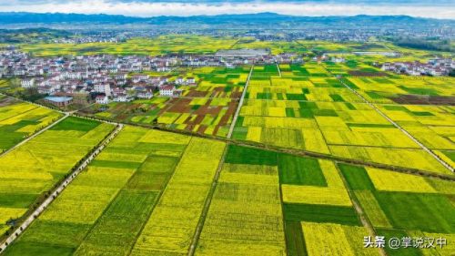 汉中果蔬饮料公司排名前十(汉中饮料批发市场)插图1 汉中果蔬饮料公司排名前十(汉中饮料批发市场)插图1