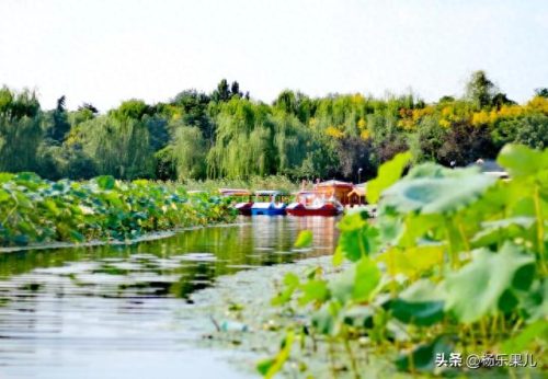 商洛市十大景区排行榜(淄博十大免费景区)插图21