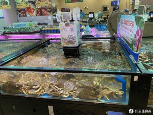 十大买菜软件排行榜前十名(哪个买菜软件最便宜)插图13
