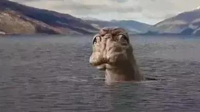 中国十大神秘水怪排行榜(中国水怪十大排名)插图9