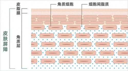 十大公认的卸妆膏排行榜(十大公认的卸妆膏)插图16 十大公认的卸妆膏排行榜(十大公认的卸妆膏)插图16