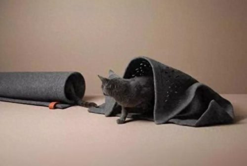 中国猫窝垫十大品牌排行榜(中国猫窝垫十大品牌)插图16 中国猫窝垫十大品牌排行榜(中国猫窝垫十大品牌)插图16