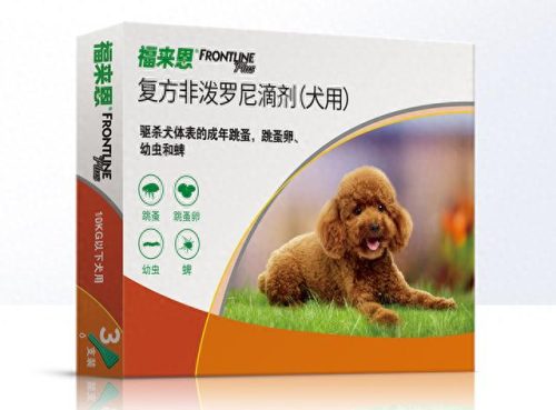 十大最耐看的小物品排行榜(十大必买好物品)插图2