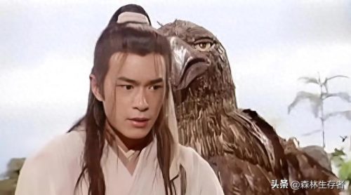 神雕侠侣的武功排名前十(神雕侠侣前50武功排名)