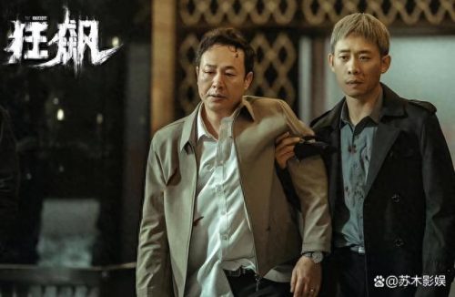 中国近年电视剧排名前十(中国十大电视剧排行榜最新)插图3