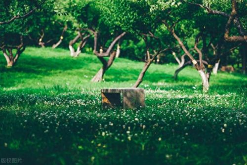 武汉市十大免费景点排行榜(武汉市内十大景点大全)插图47