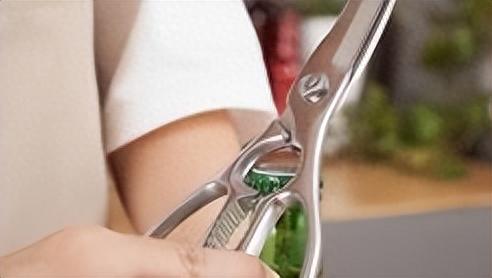 厨房剪刀十大排行榜(厨房剪刀第一名)插图5 厨房剪刀十大排行榜(厨房剪刀第一名)插图5