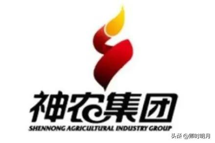 云南省排名前十的私家企业(云南前十公司排名)