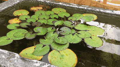 桓台十大民宿排行榜图片(淄博十大私人民宿)插图4 桓台十大民宿排行榜图片(淄博十大私人民宿)插图4