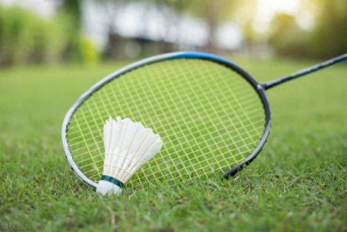 瘦身的最快方法排名前十(瘦身最好最快的茶)