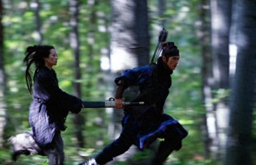 近十年十大武侠电影排行榜(历年十大武侠电影)插图25